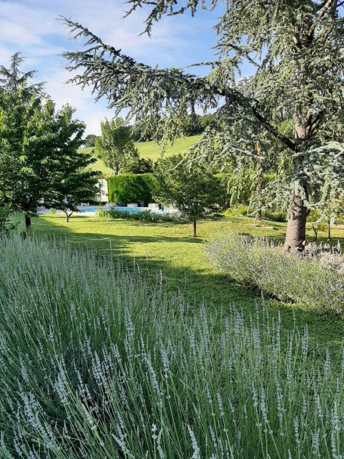 Camamelu Bed & Breakfast Labastide-Denat ภายนอก รูปภาพ