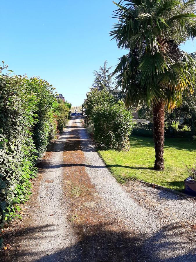 Camamelu Bed & Breakfast Labastide-Denat ภายนอก รูปภาพ